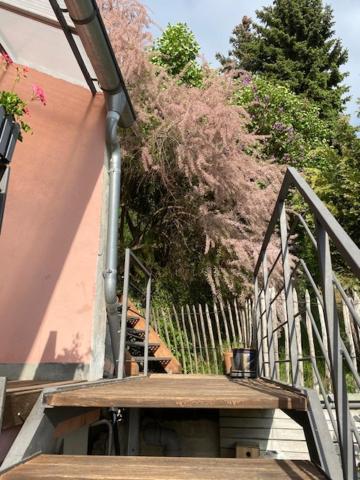 Alte Schlosserei Leistadt Bad Durkheim Bagian luar foto